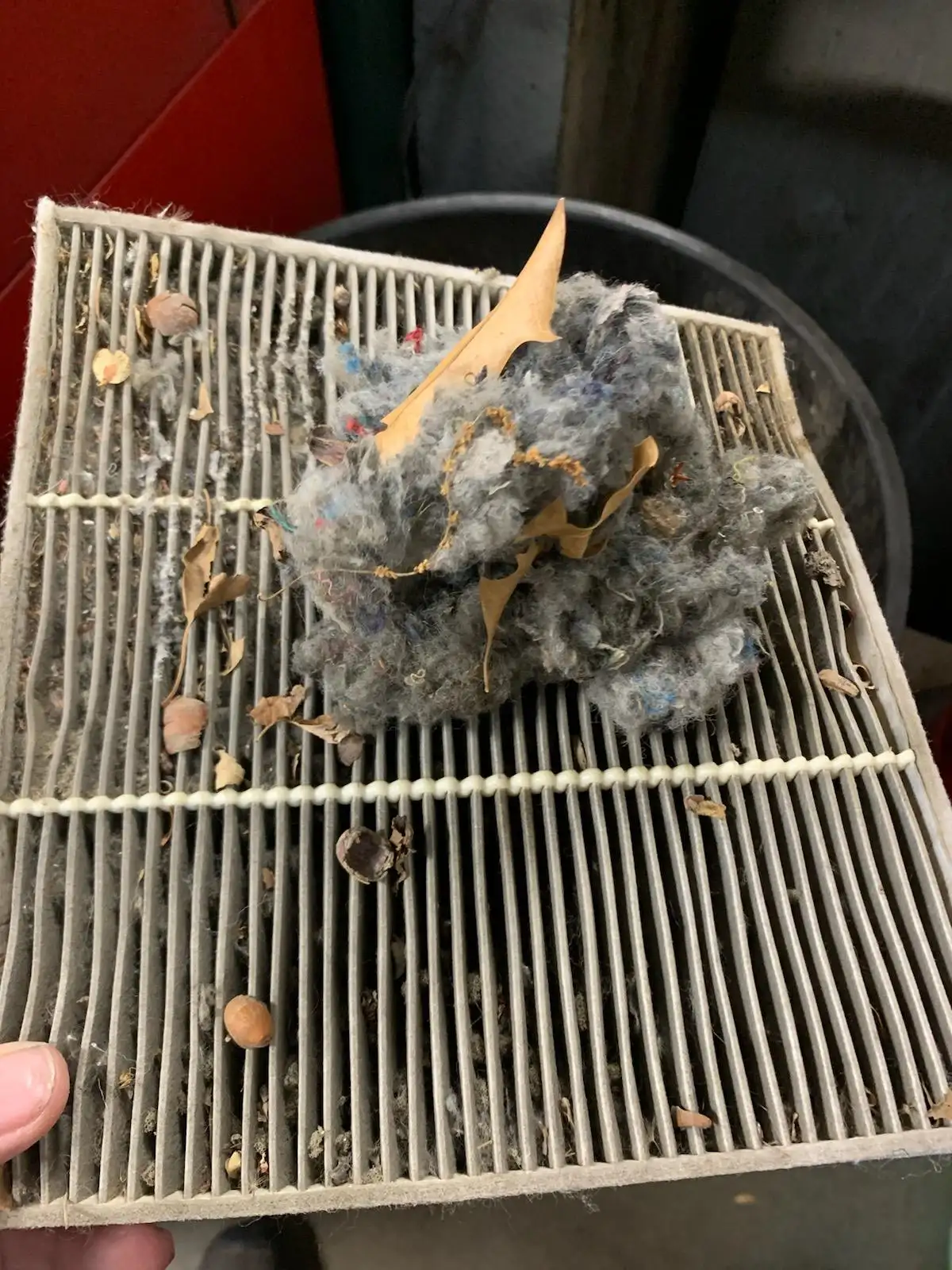 Do you Need to Replace your Cabin Air Filter in your Car? Image