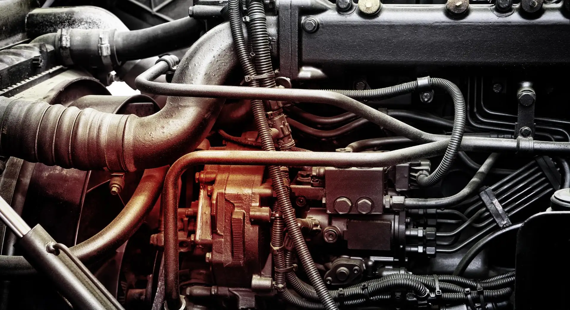 Signs You’re Looking at a Reliable Ford Mechanic Near You Image