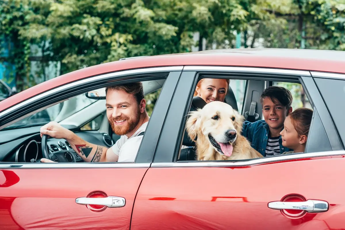 The Vital Role of Auto Electrical Services in Your Vehicle’s Performance Image