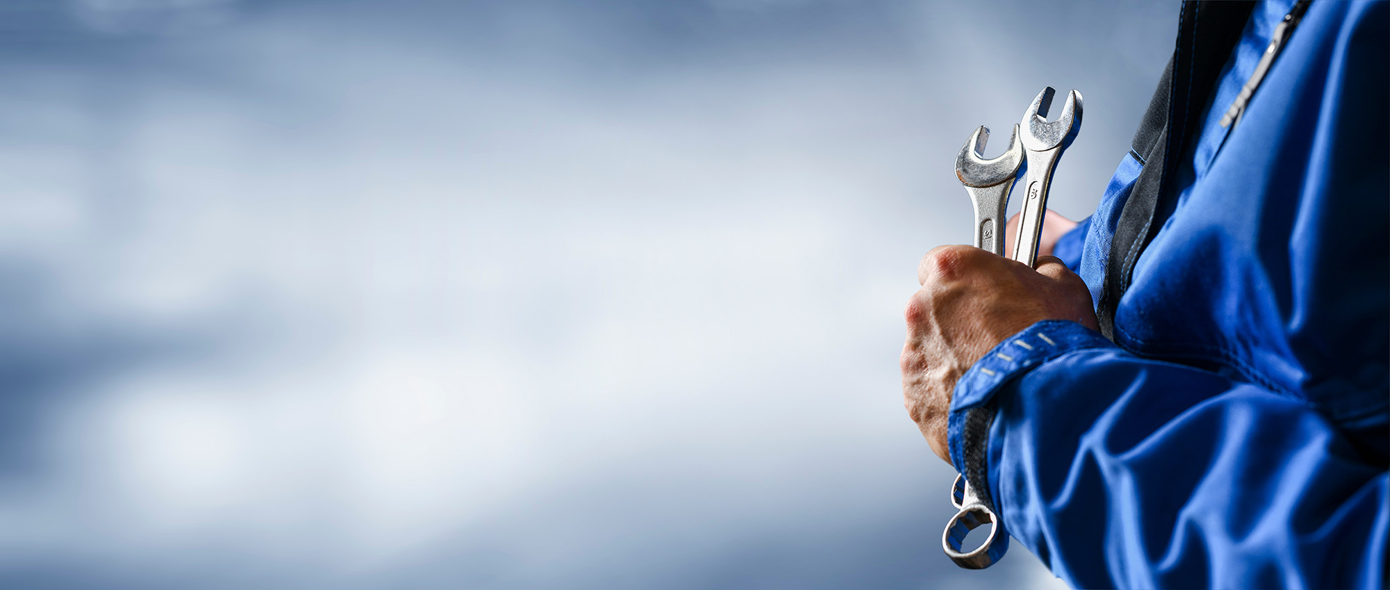 Lael's International Auto Library Image