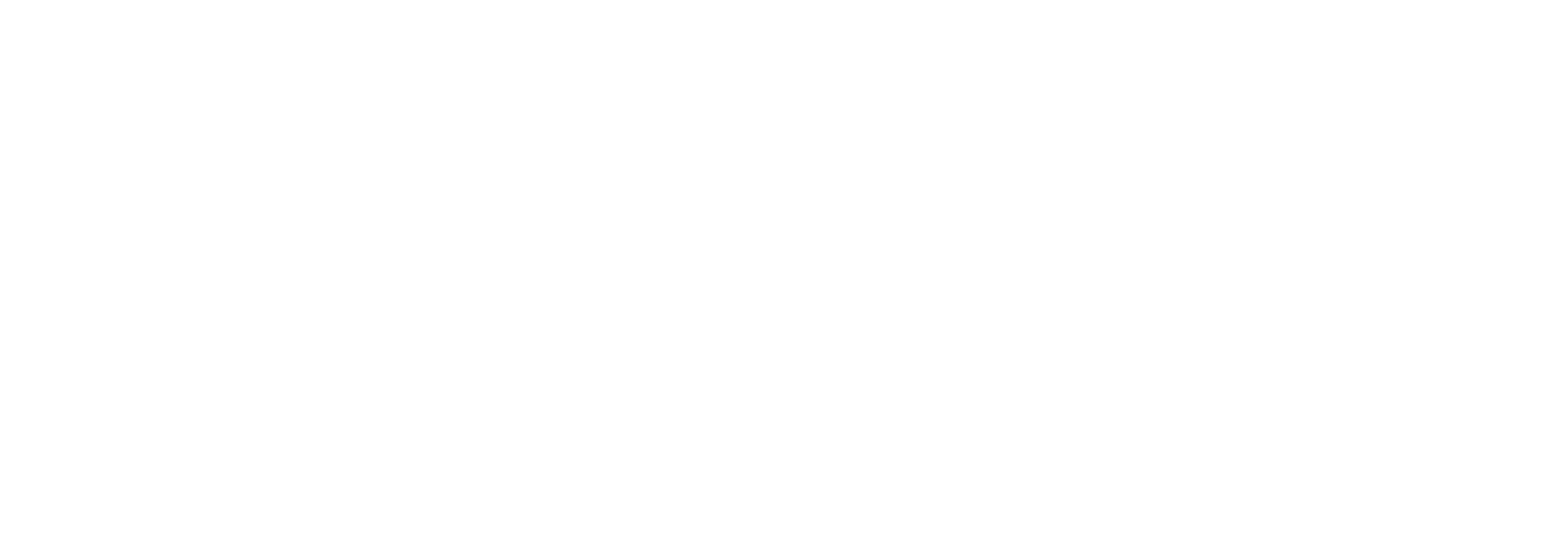 SEA Auto Care: Secondary Logo