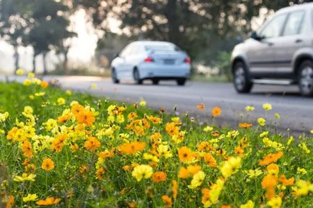AUTO REPAIR SERVICES FOR SPRING! Image