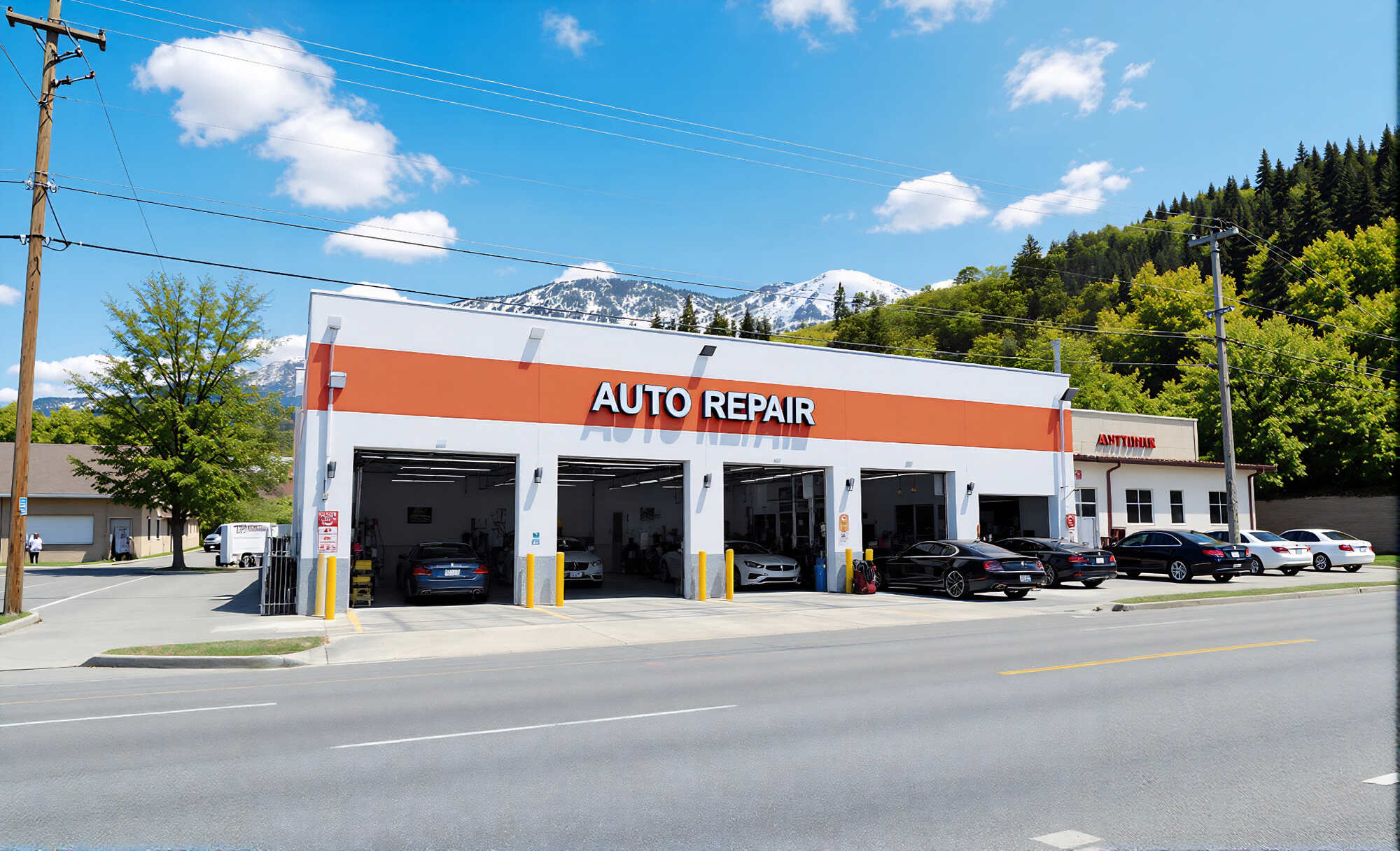 Background Image Image