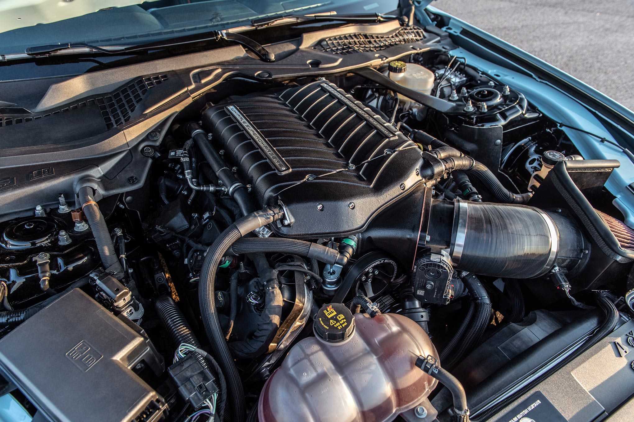 ONE-OF-A-KIND ROUSH MUSTANG Image