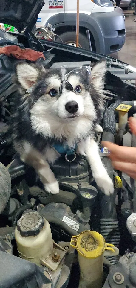 Why should a mechanic wear safety glasses?  Image