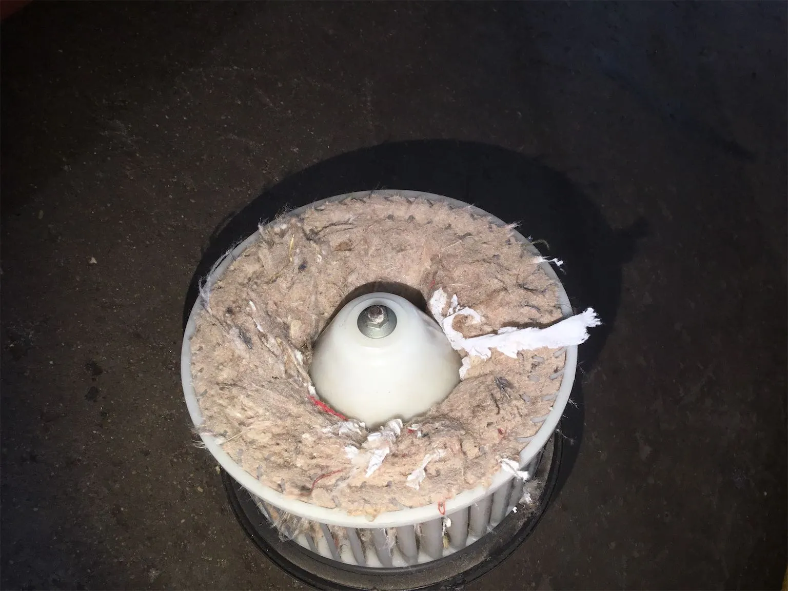 What happens when a mouse makes a nest inside a blower motor?  Image