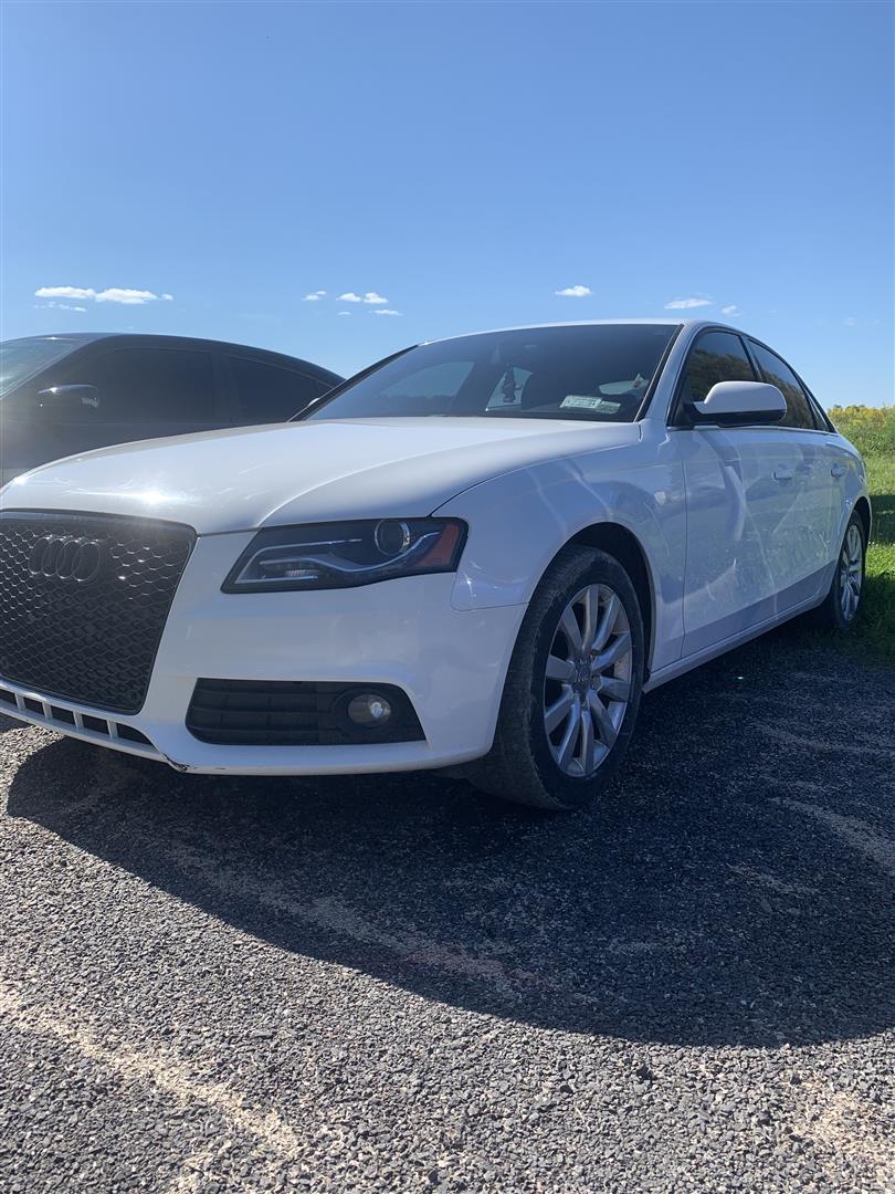 Why Does My Car Shake When I Brake Image