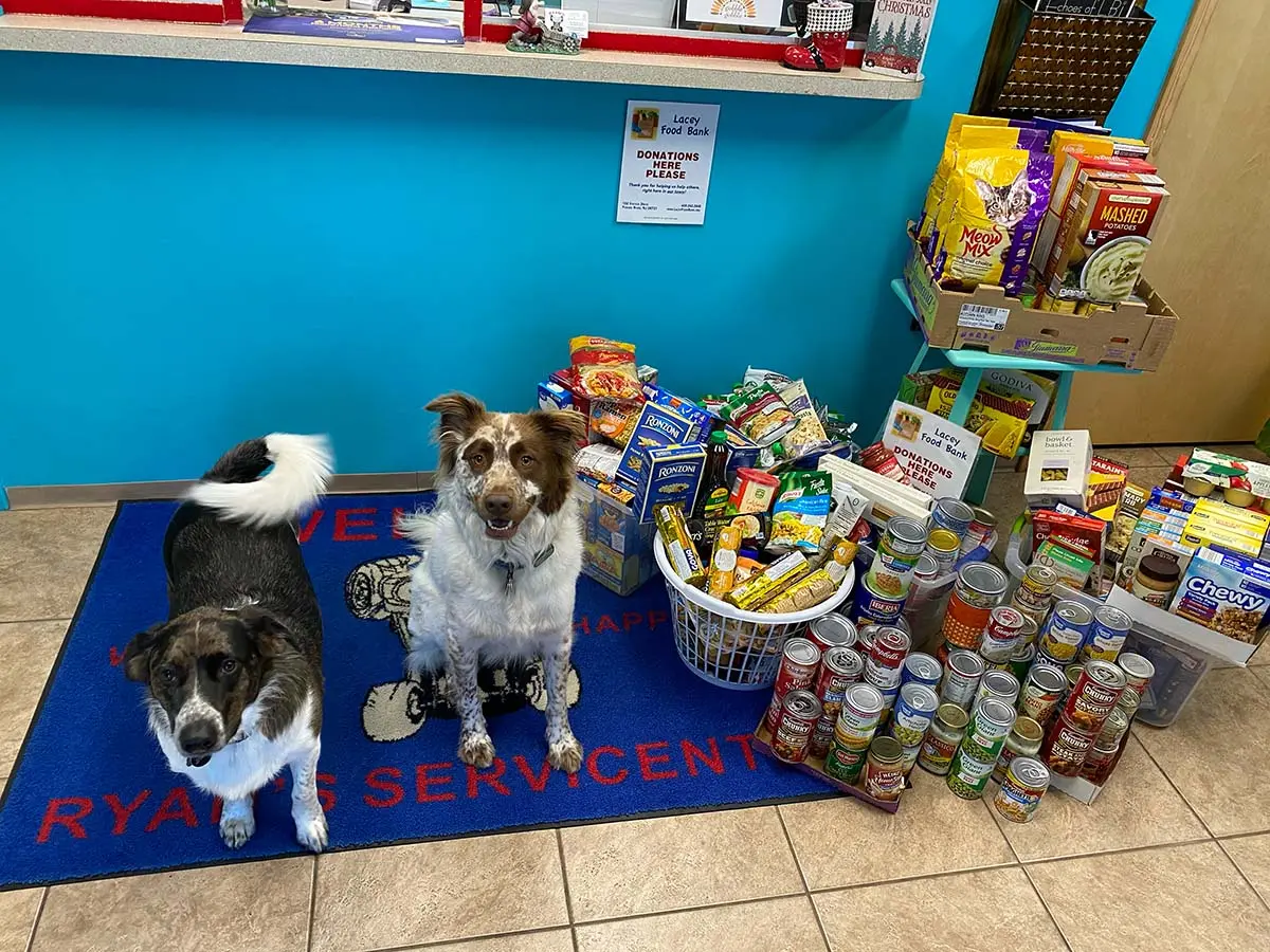 Food Bank Week Image