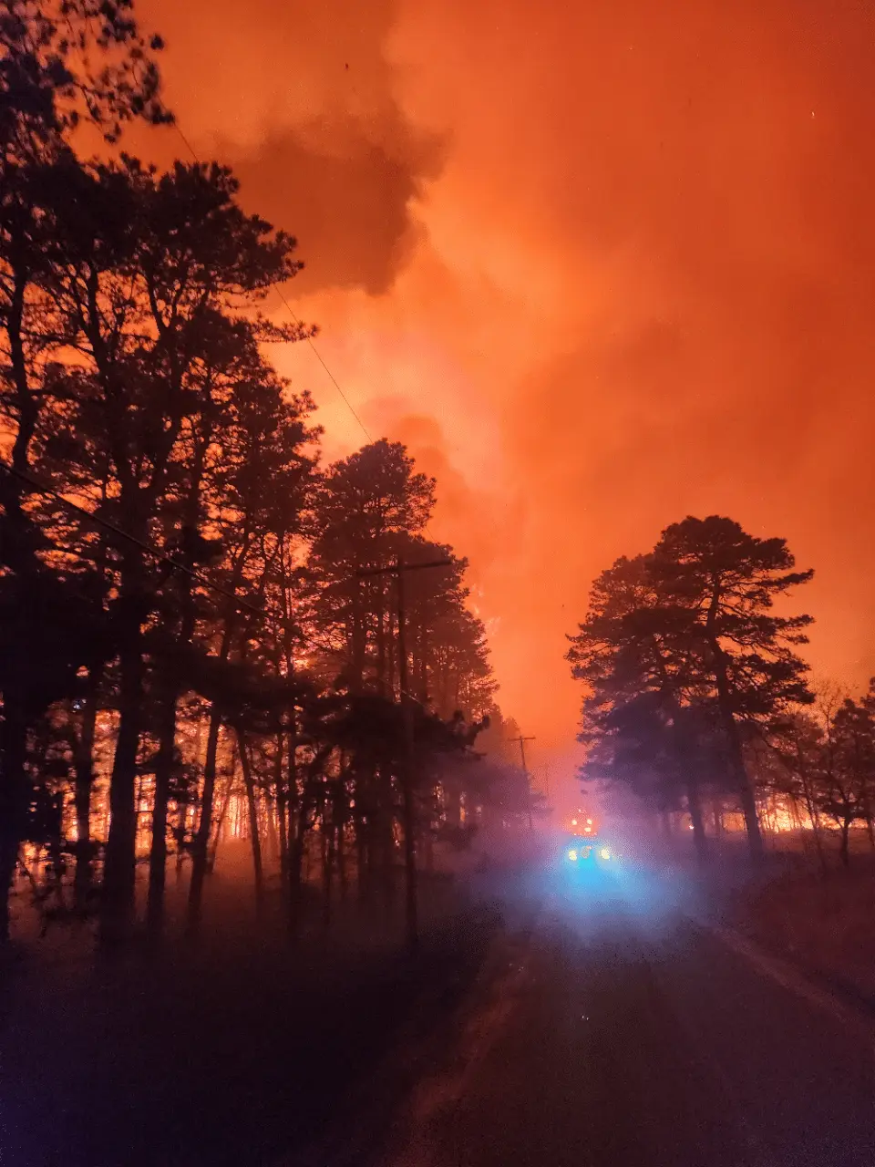 Why Prescribed Burning Is Important Image
